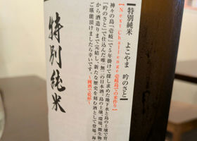 alt 3