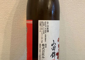 alt 3