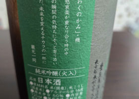 alt 2