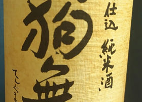 alt 1
