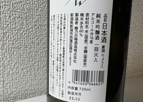 alt 3