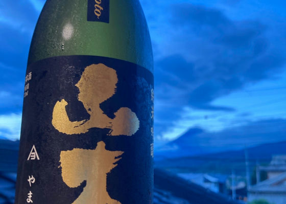 山本
