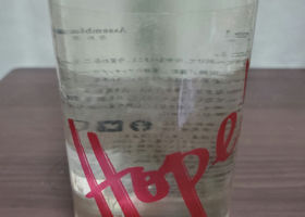 alt 1