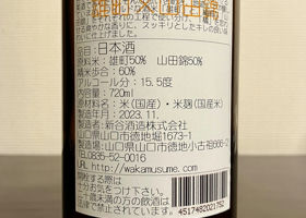 alt 2