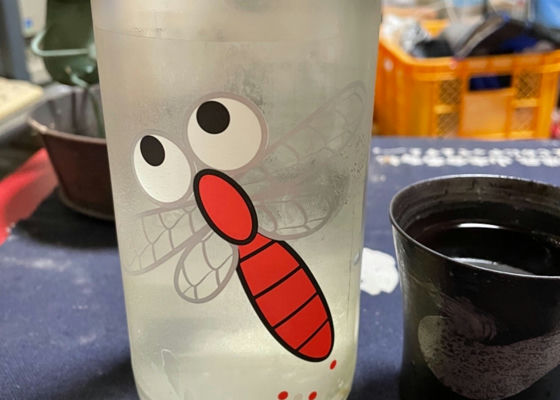 alt 1