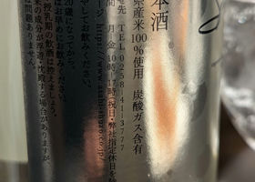 alt 3