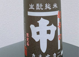 alt 1