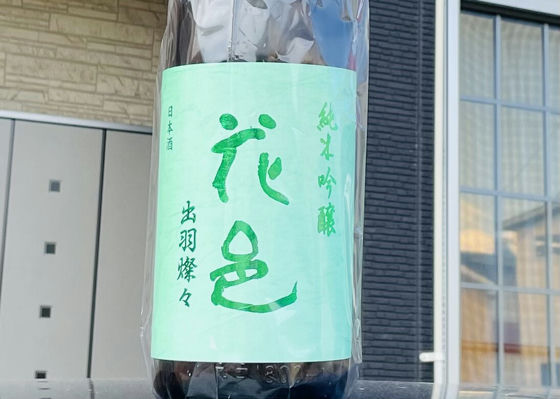 alt 1