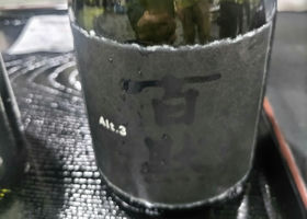 alt 3