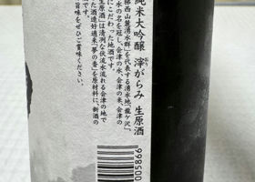 alt 3