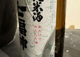 alt 3