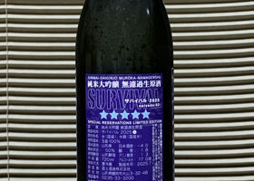 alt 3