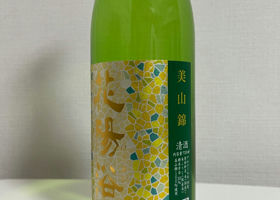 alt 3