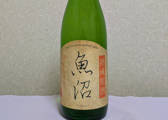 魚沼 チェックイン 1