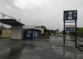 alt 3