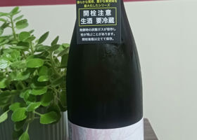 alt 2