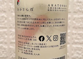 alt 3