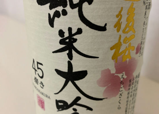 越後桜 チェックイン 1