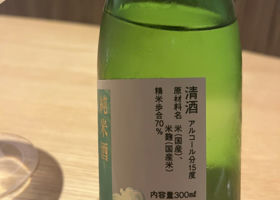 alt 3