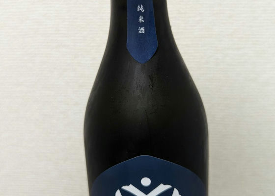 alt 1