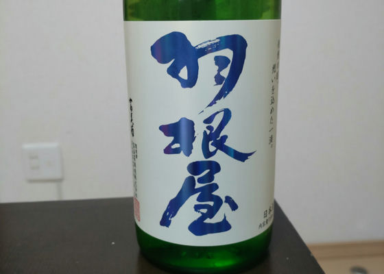 alt 1