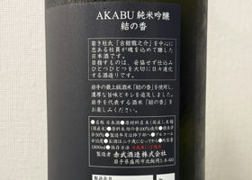 alt 3