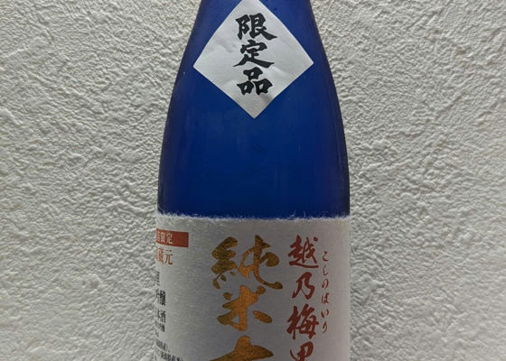 alt 1