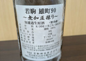 alt 1