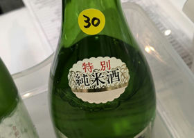 alt 1