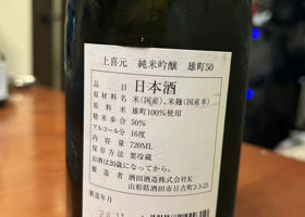 alt 3