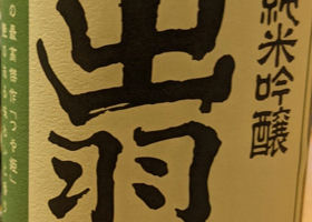 alt 1