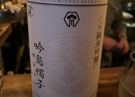 alt 1