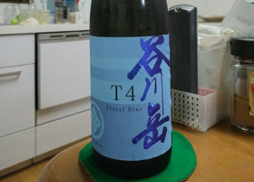 alt 1