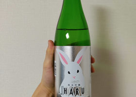 alt 2