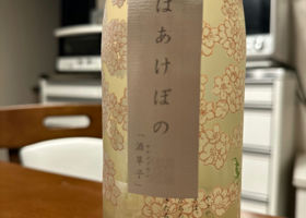 alt 2