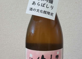 alt 1