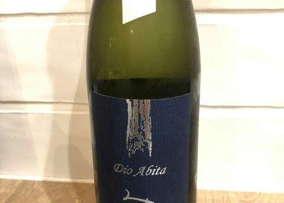 alt 1