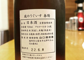 alt 1