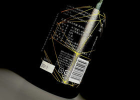 alt 3