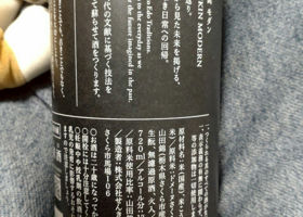 alt 3