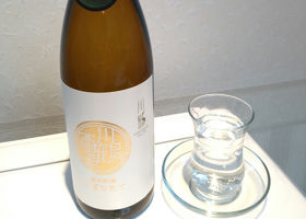 alt 1