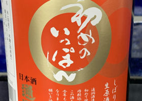 alt 2