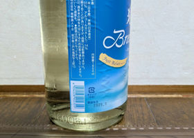 alt 1