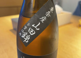 alt 3