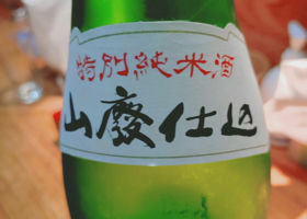 alt 3