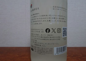 alt 2
