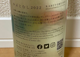 alt 3