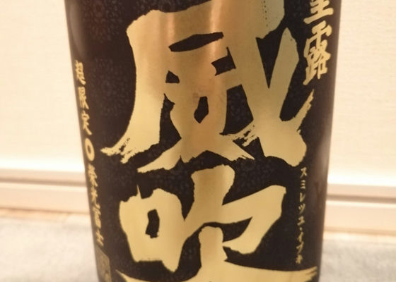 alt 1