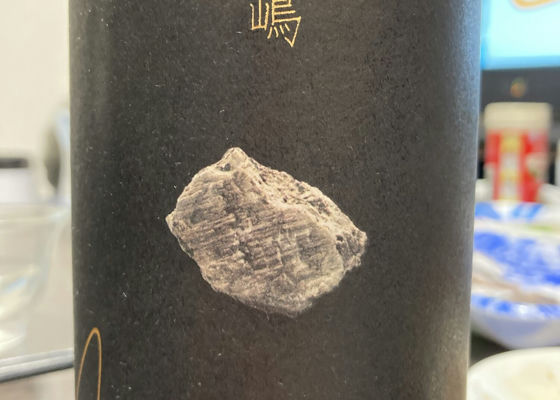 alt 1