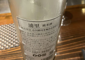 alt 3